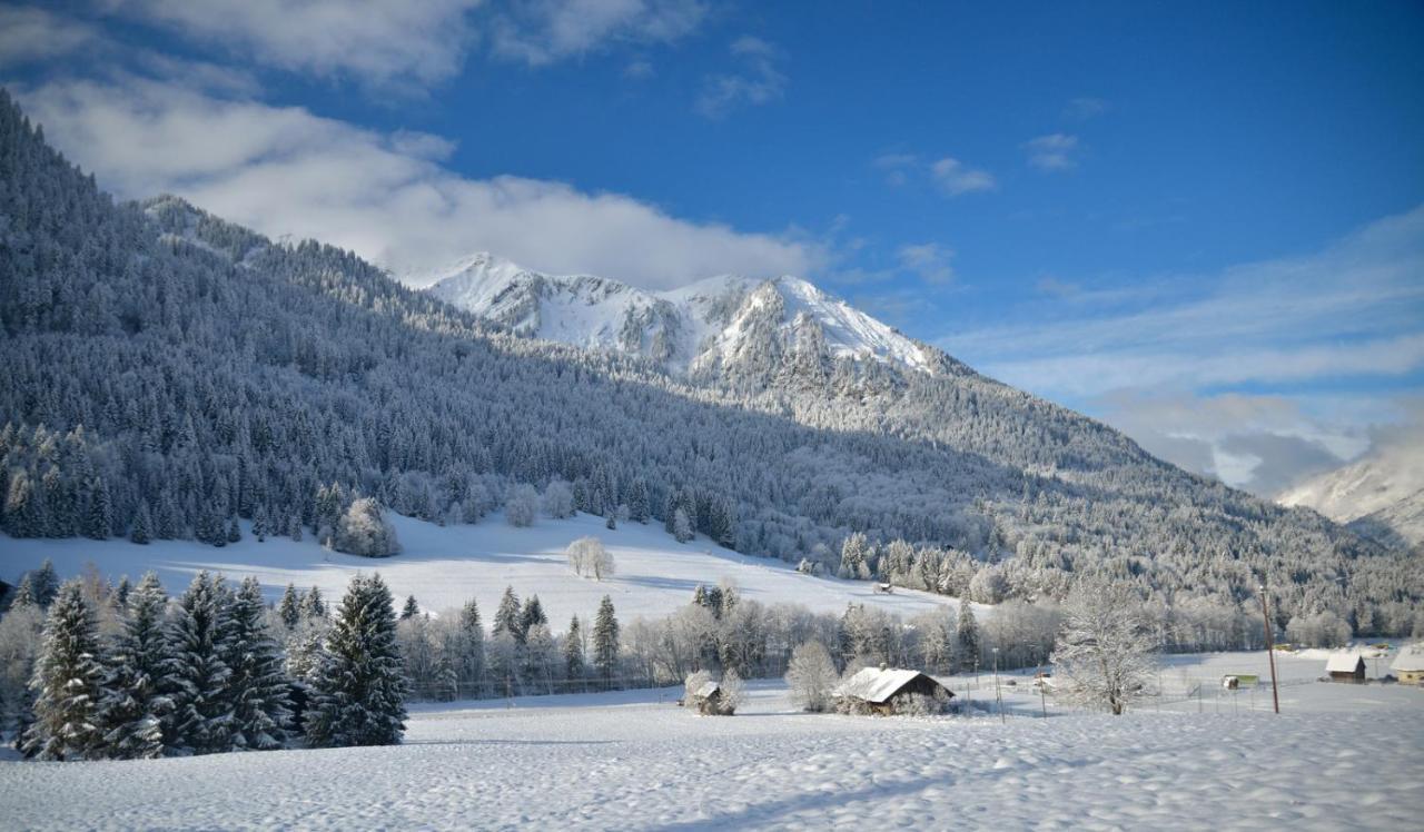 Chalet Cannelle Шатель Екстер'єр фото